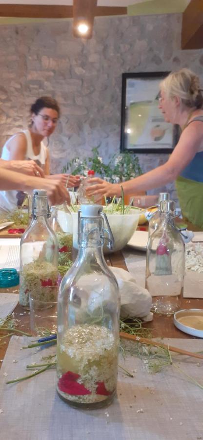 Agroturismo Mas Vilar, Feel At Home Arbucies Bagian luar foto